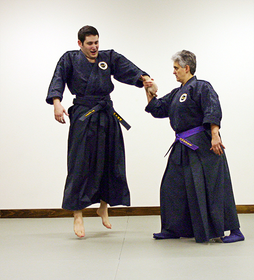 Suigetsu Dojo | Hakko Densho Ryu Hombu | Placerville CA